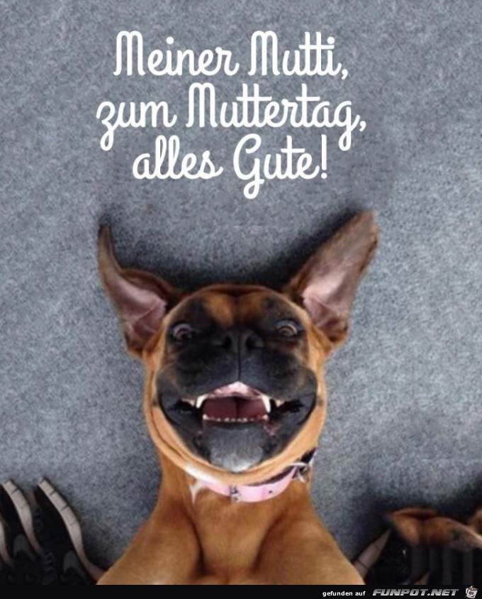 Mutti