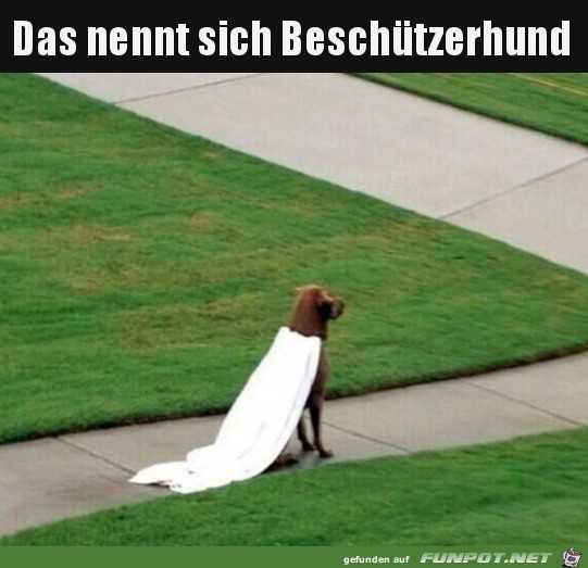Super-Dog Super-Dog
