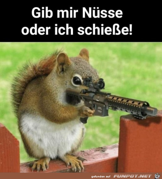 Her mit den Nüssen Her mit den Nüssen