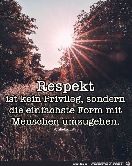 respekt ist kein Privileg respekt ist kein Privileg