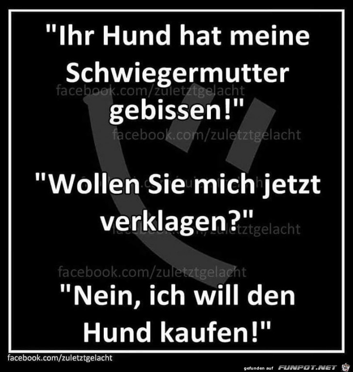 Ihr Hund Ihr Hund