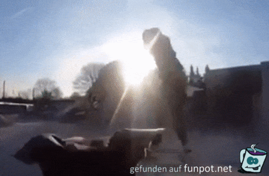 Dashcam auf Hund Dashcam auf Hund