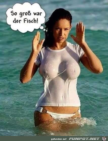 Wen interessiert der Fisch Wen interessiert der Fisch