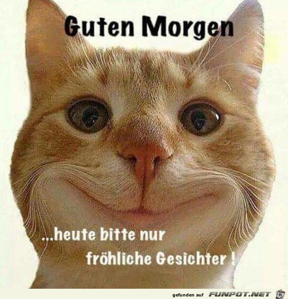 Guten Morgen Guten Morgen