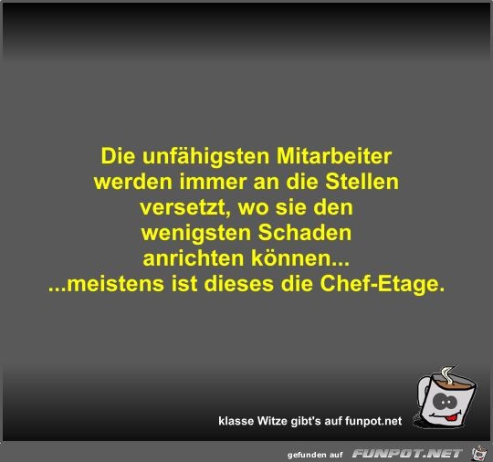 Die unfhigsten Mitarbeiter werden immer an die Stellen...