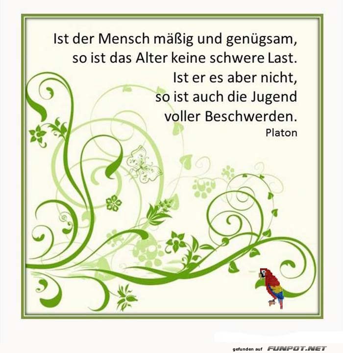 Platon