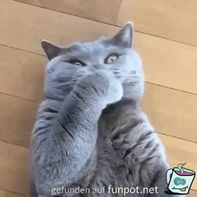 Sieht lustig aus
