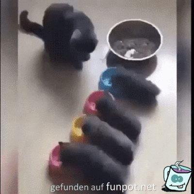 Diese Überraschung Diese Überraschung