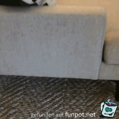 Fuchur ist unter der Couch Fuchur ist unter der Couch