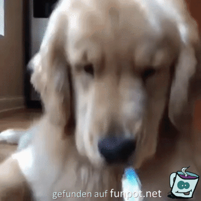 Geh weg mit dem Ding Geh weg mit dem Ding