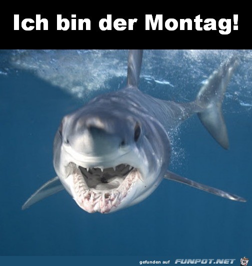 Montag