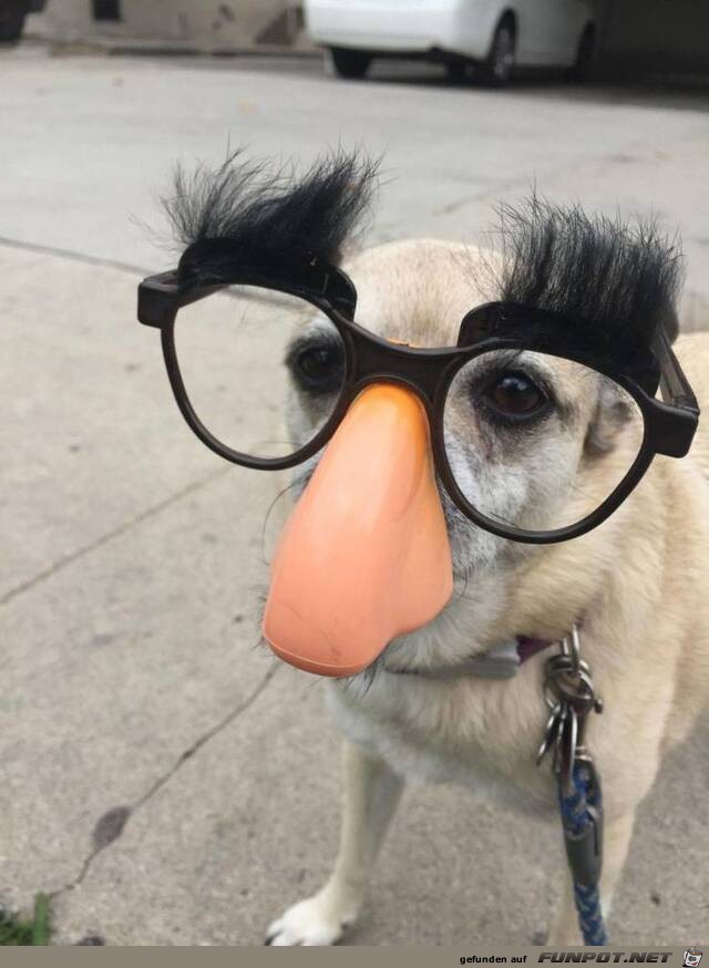 Lustige Brille