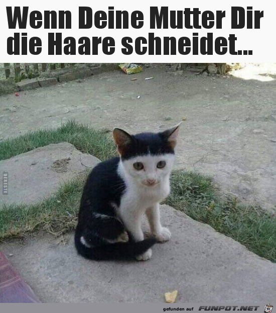 wenn deine mutter wenn deine mutter