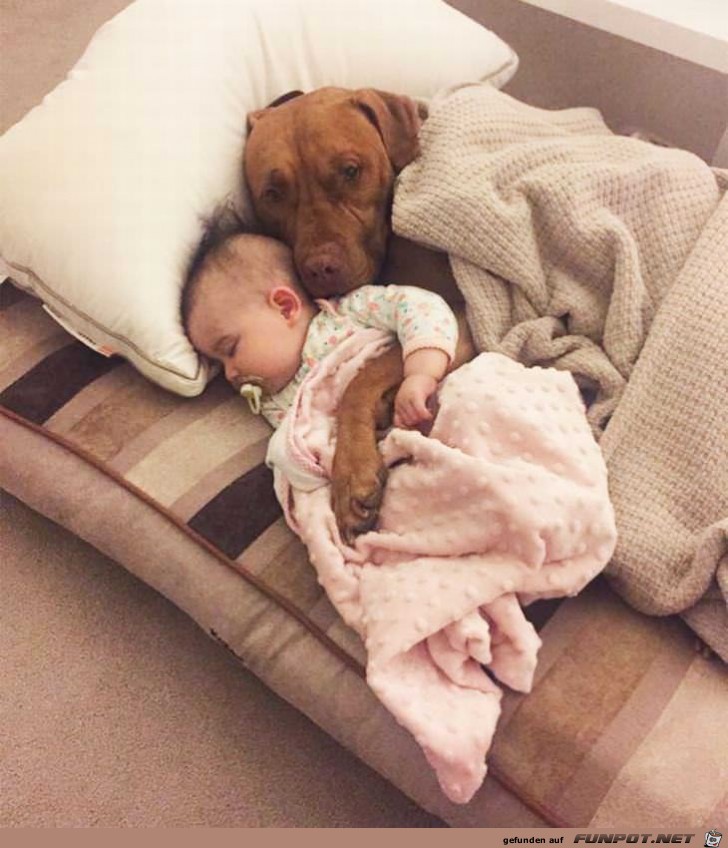 Kinder und ihre Hunde - einfach nur zu s!
