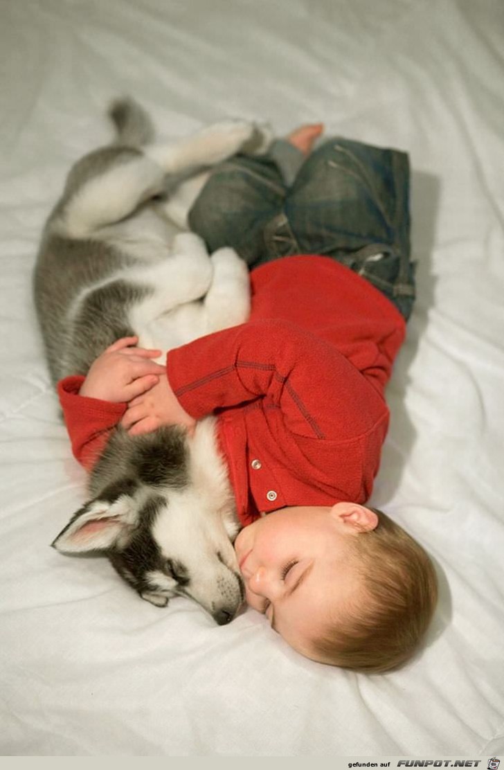Kinder und ihre Hunde - einfach nur zu s!