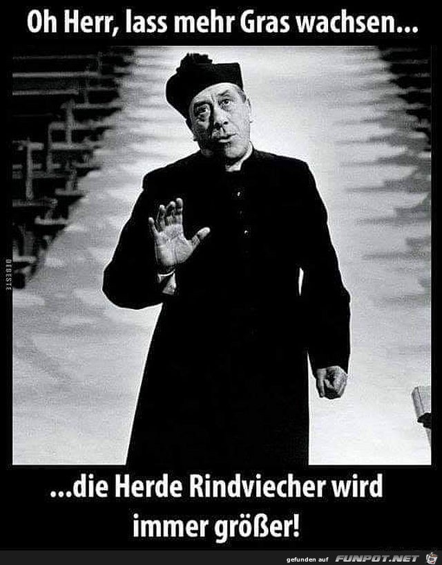 Don Camillo Don Camillo