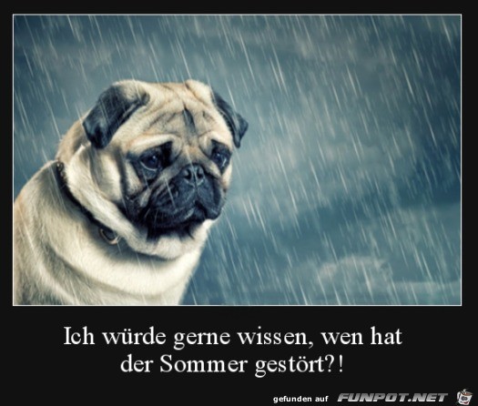 Wo ist die Sonne Wo ist die Sonne