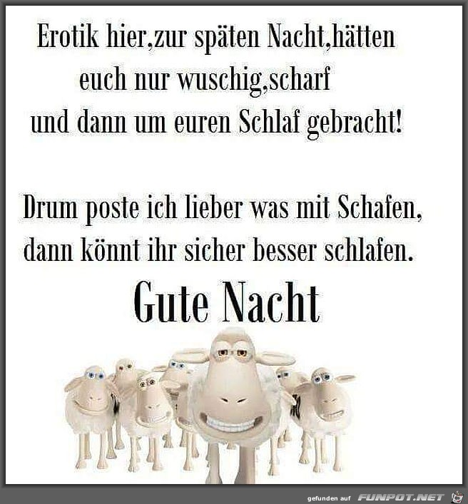 Gute Nacht Gute Nacht