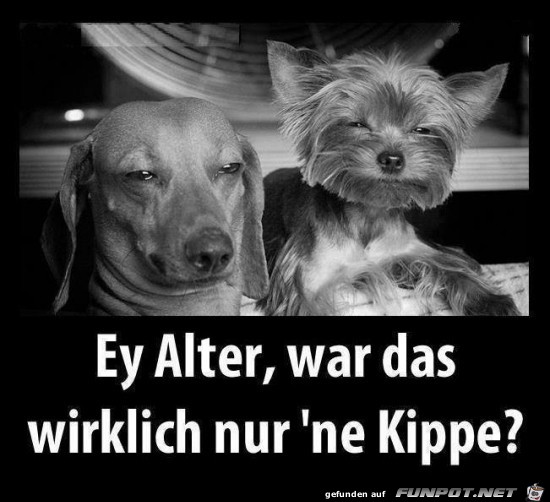 Gute Frage Gute Frage