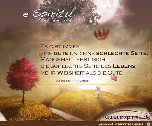 es gibt immer es gibt immer