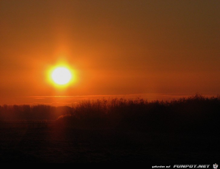 Sonnenuntergang in Kollmar an der Elbe 2 Sonnenuntergang in Kollmar an der Elbe 2
