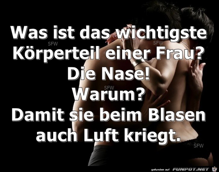 Was ist das wichtigste Was ist das wichtigste