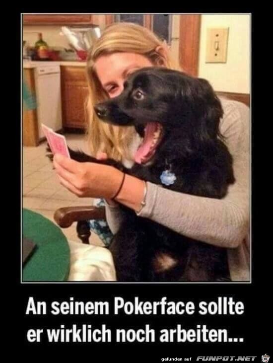 an seinem pokerface an seinem pokerface