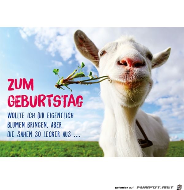 zum geburtstag wollte ich dir eigentlich