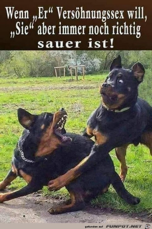 wenn er versoehnungssex will wenn er versoehnungssex will