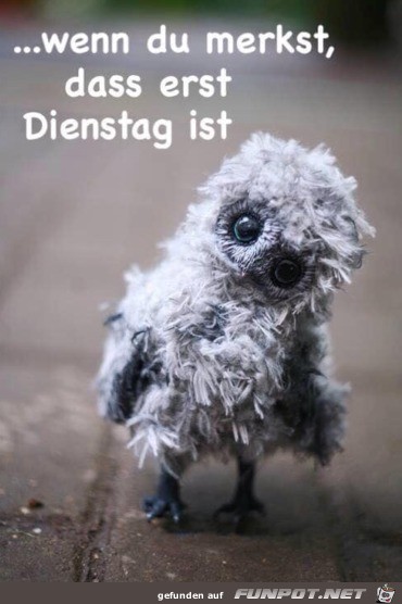 Dienstag Dienstag