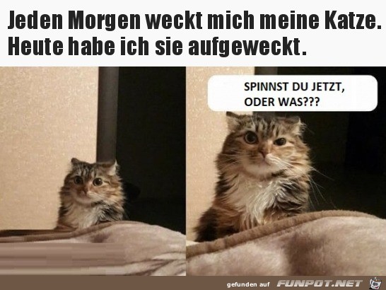 Was soll das denn Was soll das denn
