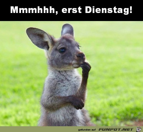 Dienstag