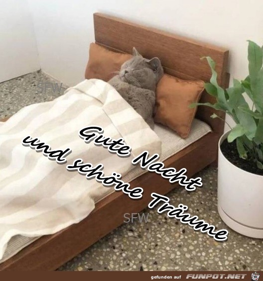 Gute Nacht 01 Gute Nacht 01