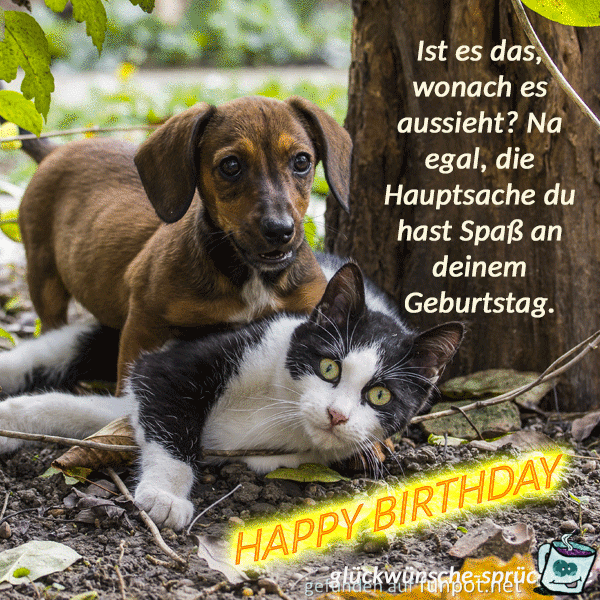 geburtstagsbilder-lustig-1 geburtstagsbilder-lustig-1