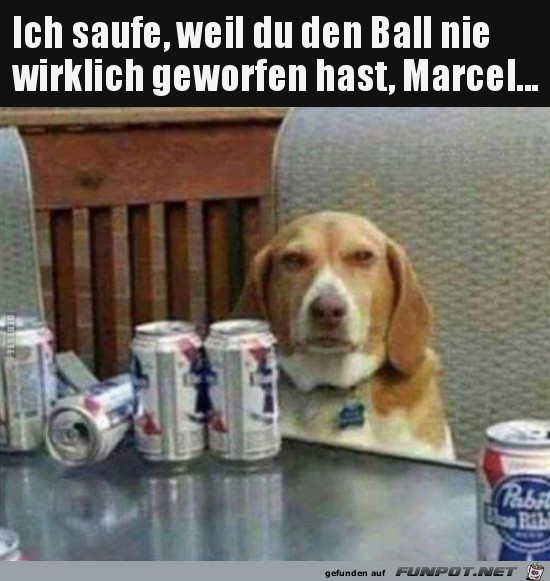 Du bist schuld Du bist schuld