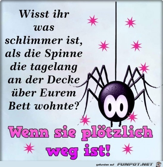 Die Spinne Die Spinne