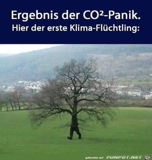 er haut ab er haut ab