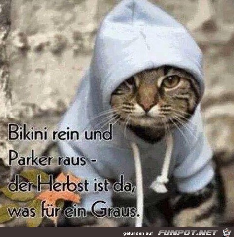 Der Herbst