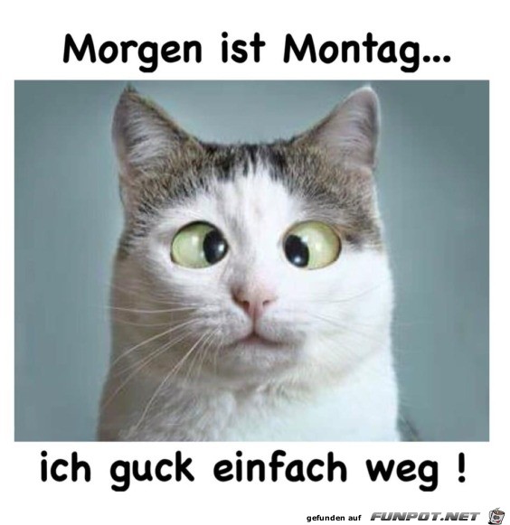 Morgen ist Montag