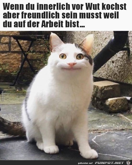 Immer freundlich bleiben Immer freundlich bleiben