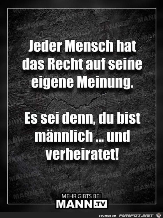 eigene Meinung eigene Meinung