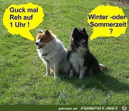 Gute Frage Gute Frage