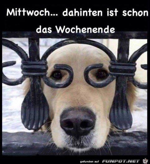 Mittwoch