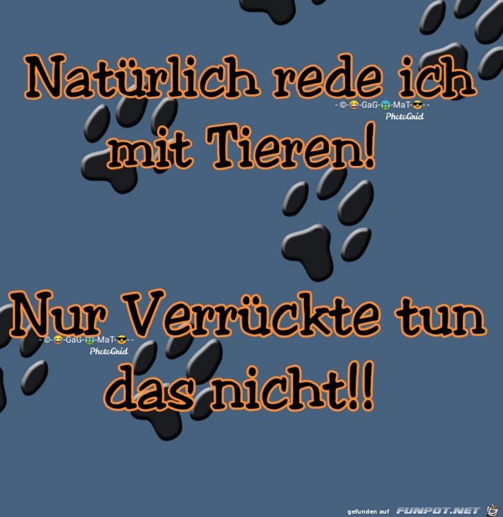 Verrueckte