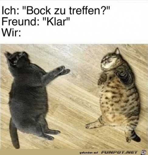 Super Programm Super Programm