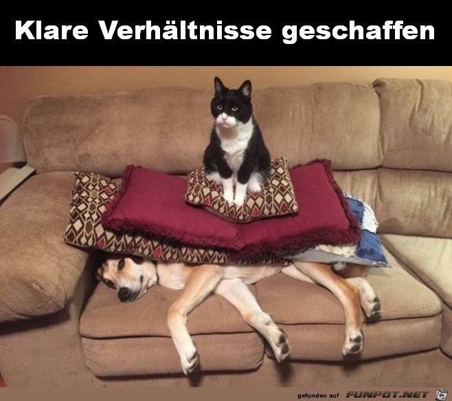 Klare Verhältnisse Klare Verhältnisse