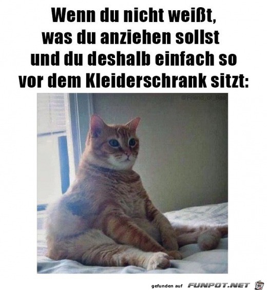 Die Qual der Wahl Die Qual der Wahl