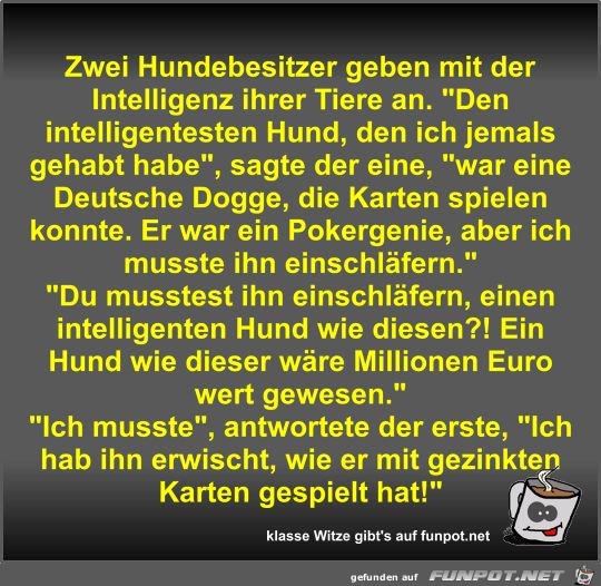 Zwei Hundebesitzer geben mit der Intelligenz ihrer Tiere an Zwei Hundebesitzer geben mit der Intelligenz ihrer Tiere an