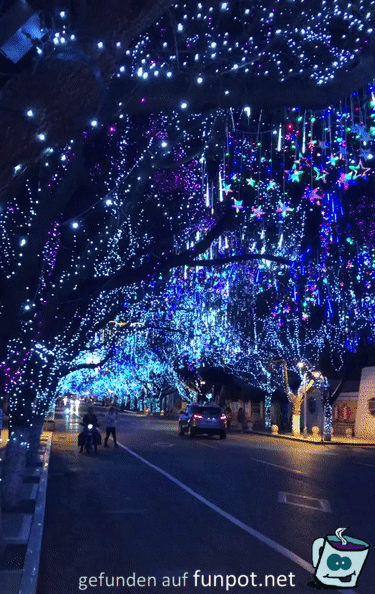 Weihnachtslichter-Allee Weihnachtslichter-Allee