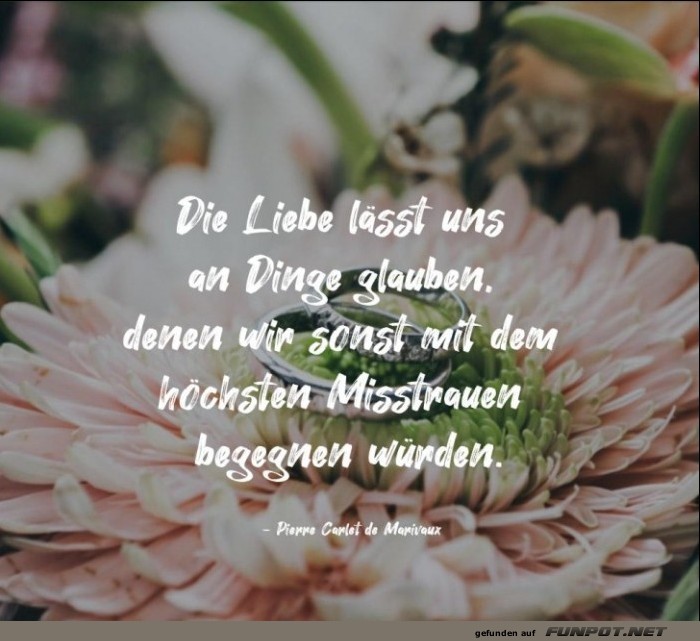 schöne Sprüche zur Liebe und Partnerschaft